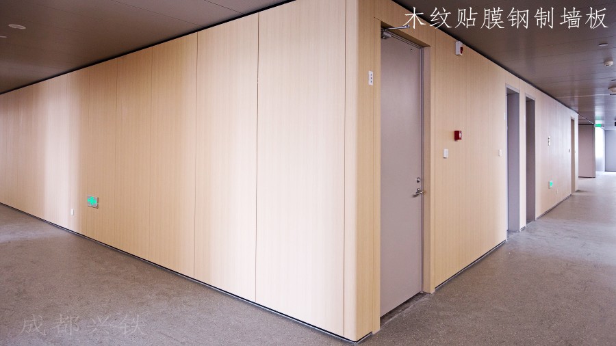 醫(yī)院鋼質(zhì)門(mén)