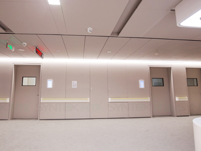 醫(yī)用鋼制復(fù)合墻板(烤漆/木紋膜)